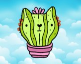 Cactus gato