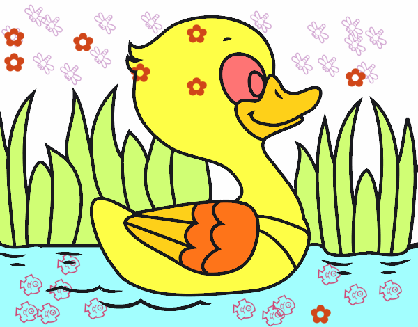 Patito de río