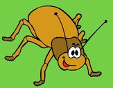 Cucaracha 2