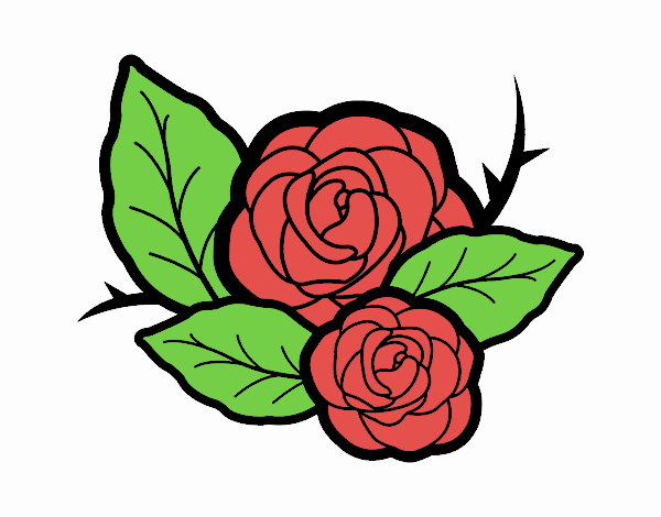 Dos rosas