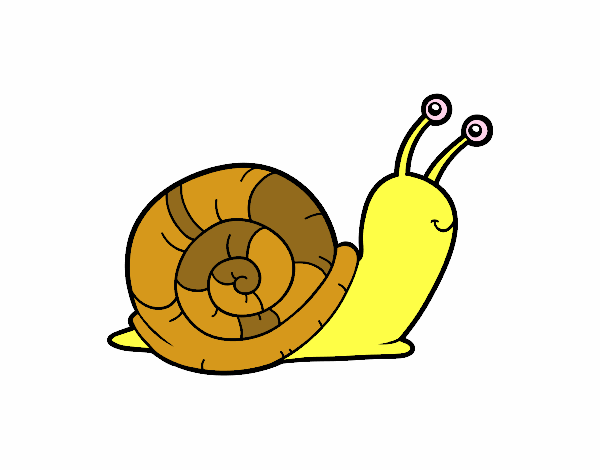 El caracol