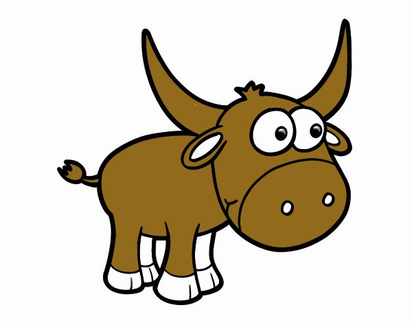 Torito