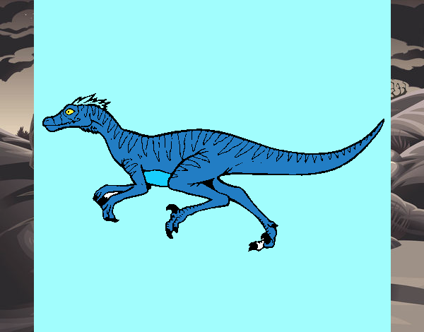 Velociraptor