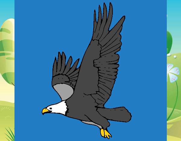 Águila volando