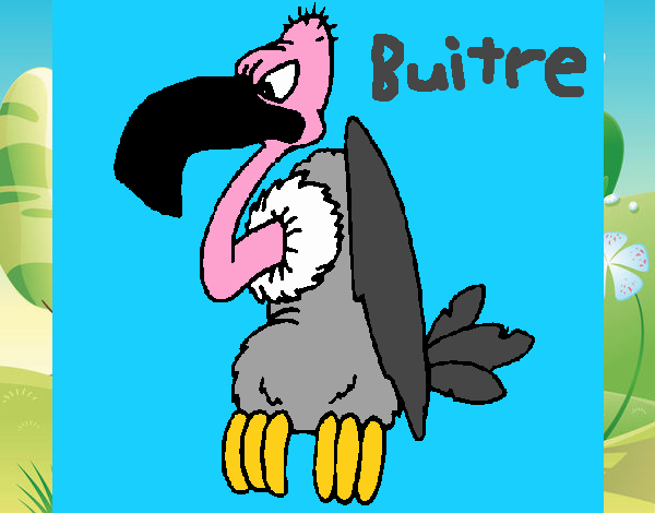 Buitre