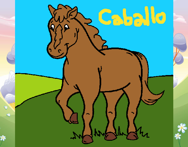 Caballo 4