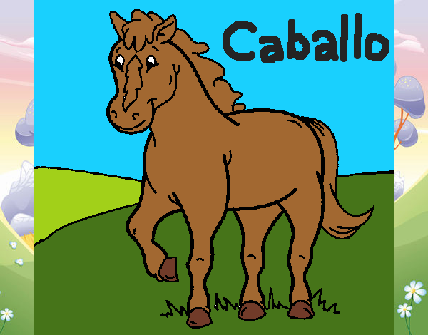 Caballo 4