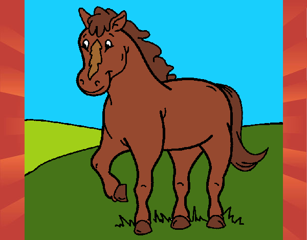 Caballo 4