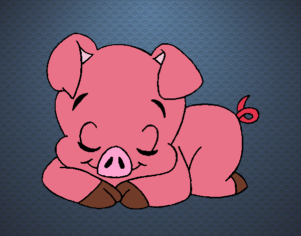 Cerdito durmiendo