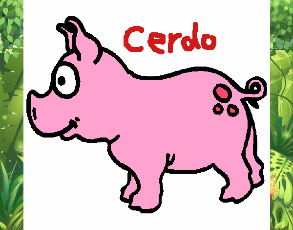 Cerdo