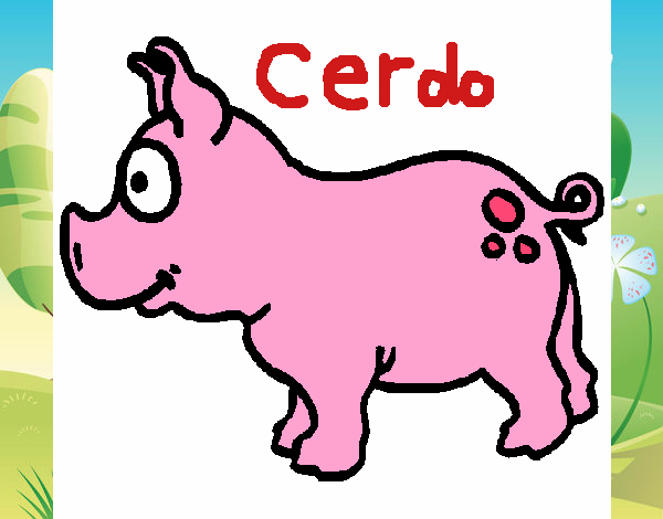 Cerdo