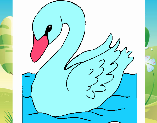 Cisne