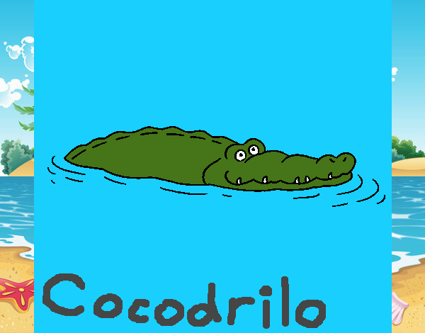 Cocodrilo 2