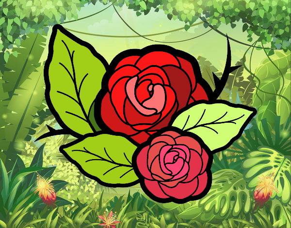 Dos rosas