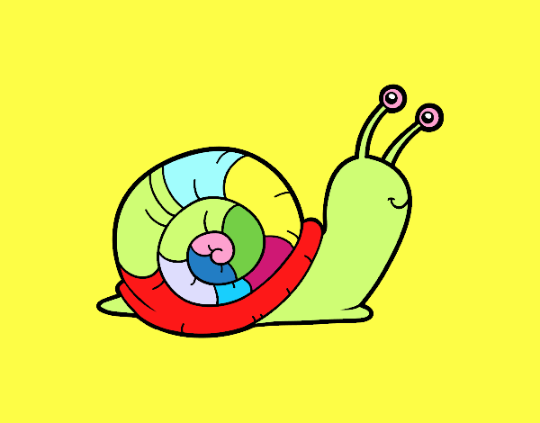 El caracol