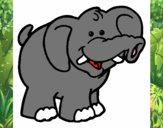 Elefante 6