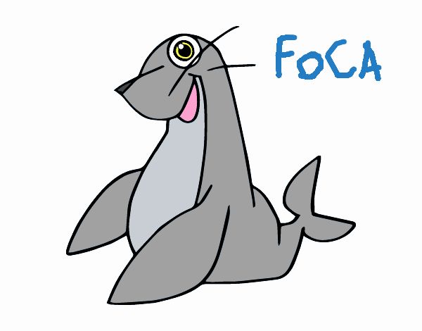 Foca monje