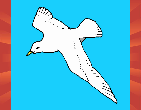 Gaviota