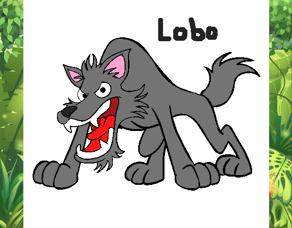 Lobo 2