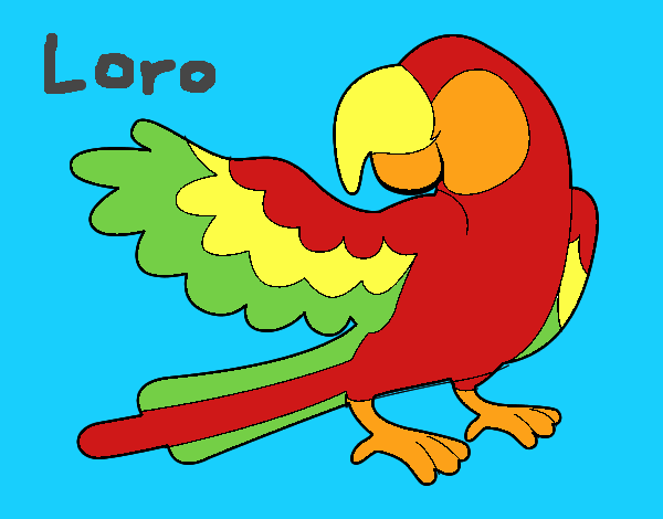 Loro con ala abierta