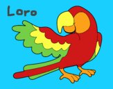 Loro con ala abierta