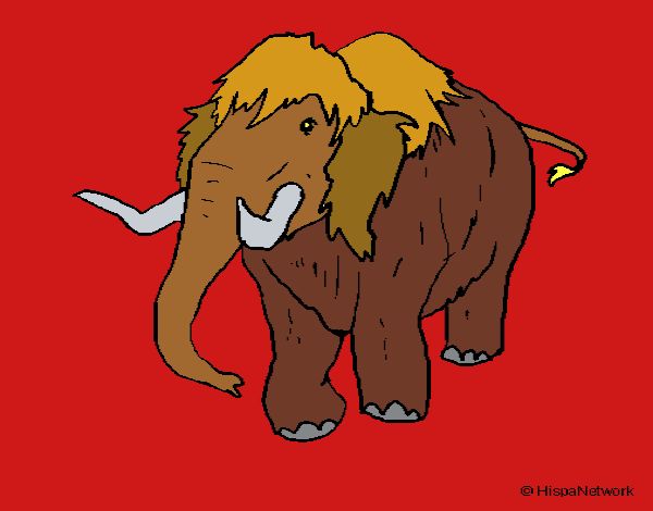 Mamut II