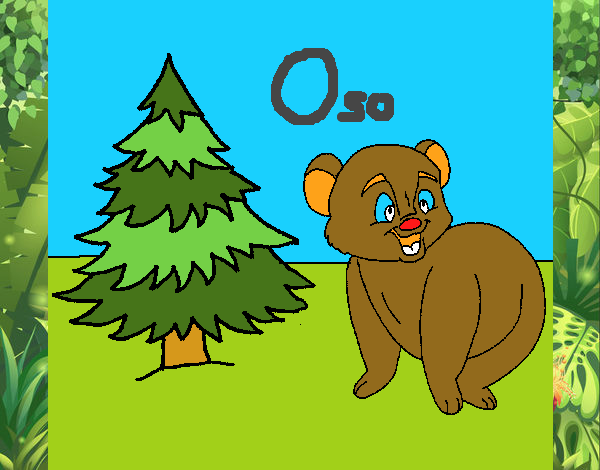 Oso y abeto