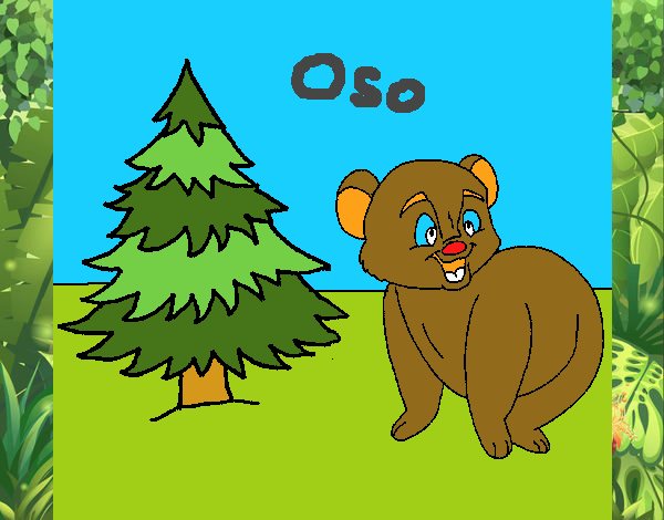 Oso y abeto