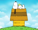 Snoopy durmiendo