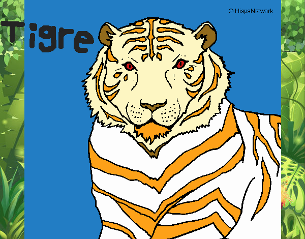 Tigre 3