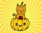 Un gatito de Halloween