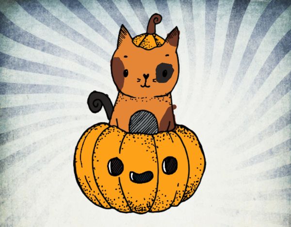 Un gatito de Halloween