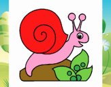 Caracol