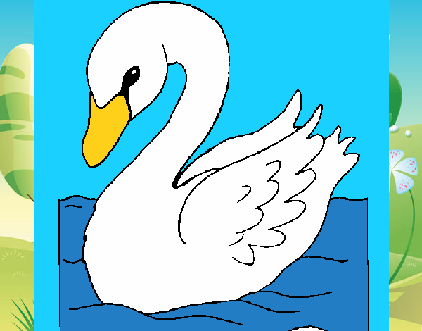 Cisne