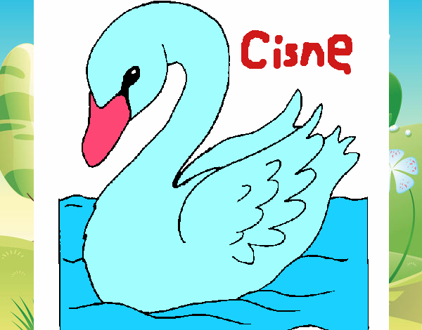 Cisne