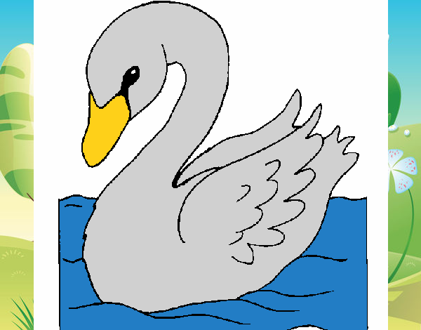 Cisne