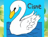 Cisne