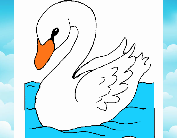 Cisne