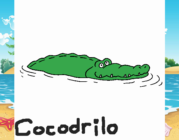 Cocodrilo 2