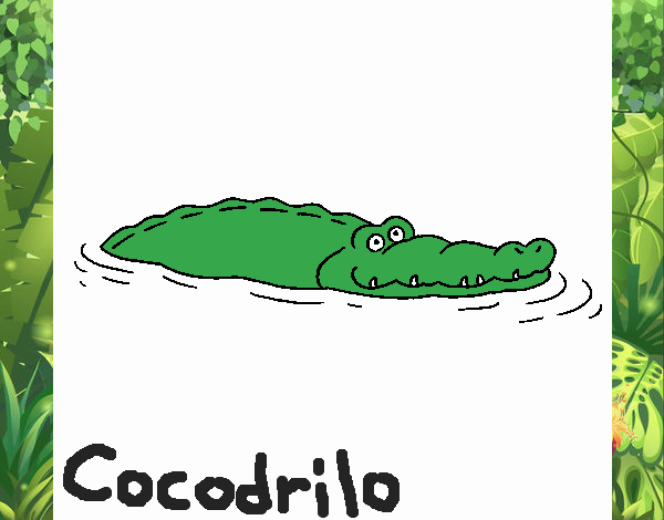 Cocodrilo 2