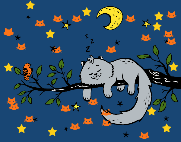 El gato y la luna