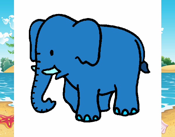 Elefante bebe