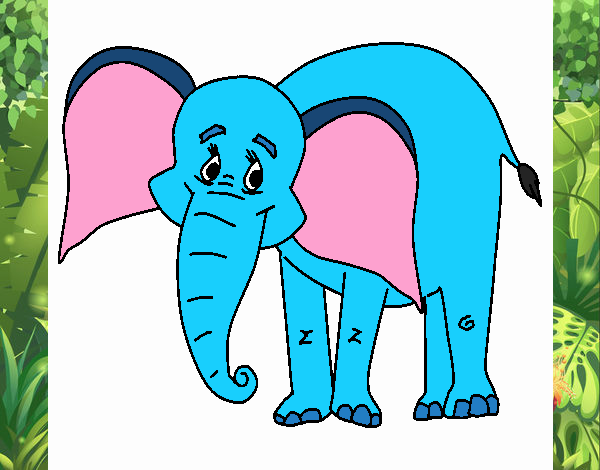 Elefante feliz