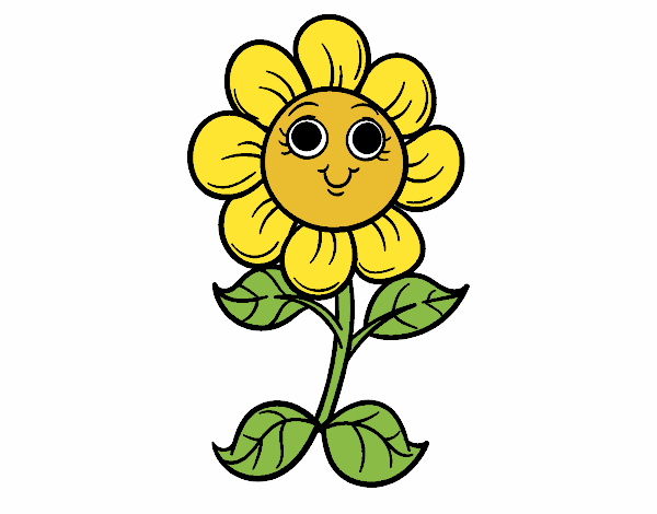 mini girasol