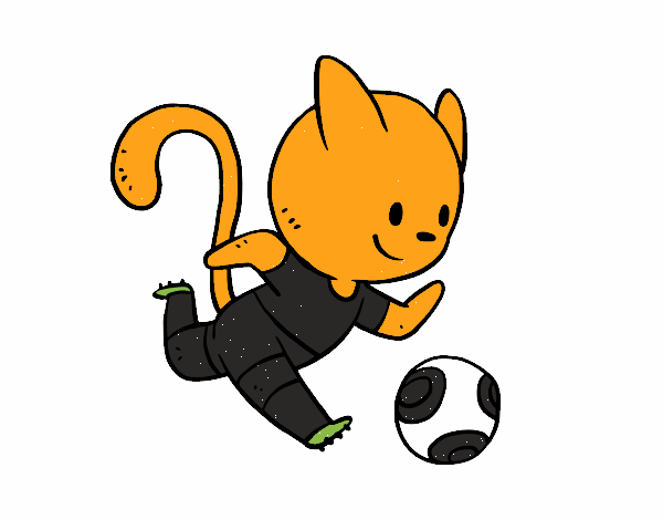 Gato jugando a fútbol