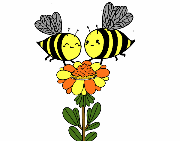 Pareja de abejas