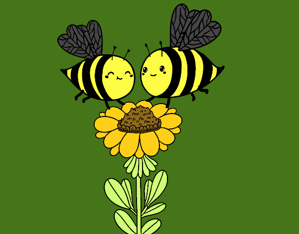 Pareja de abejas