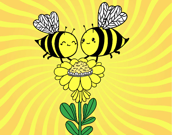 Pareja de abejas