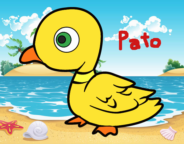 Pato de río