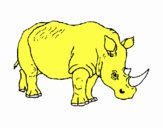 Rinoceronte 3